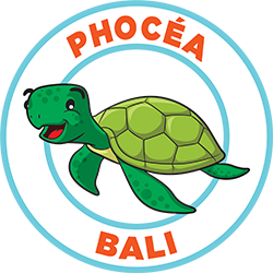 plongee-bali-phocea.png