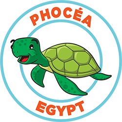 plongee-egypte-phocea.png