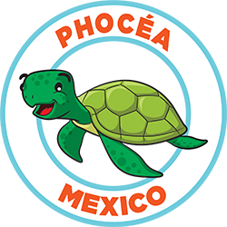 plongee-mexique-phocea.png
